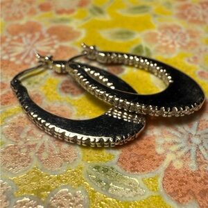 Elegant Silver Hoop Earrings